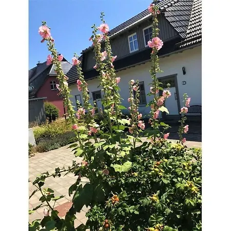 Ruegen With Sauna And Garden
